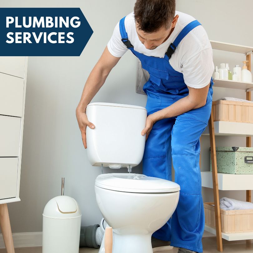 Plumbing Company in Industry, IL
